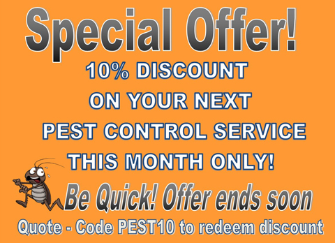 special offer ad